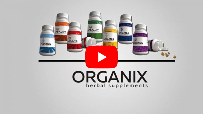 Motion Graphics Video Creation by WinBestDesign.Com